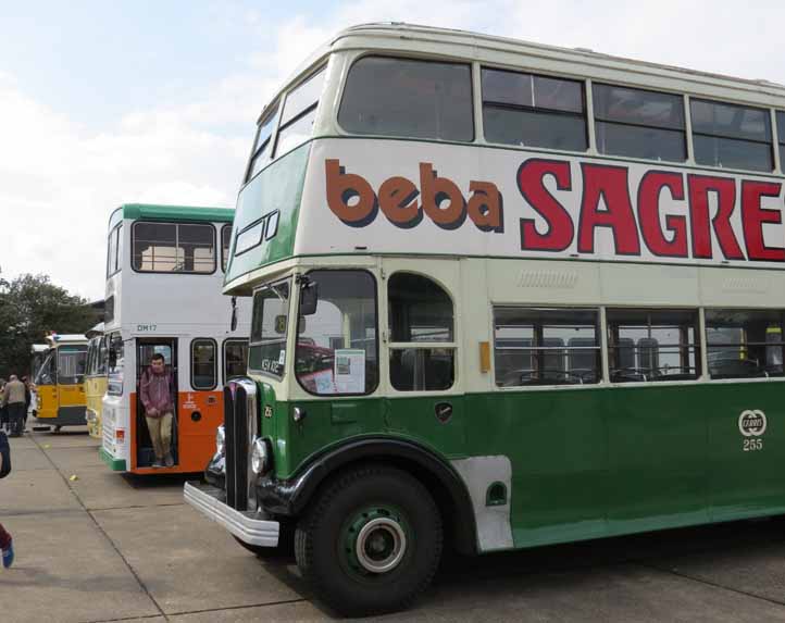 Showbus 2014 International collection